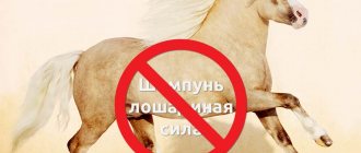 Шампунь лошадиная сила, вред и бессмысленность для ваших волос.